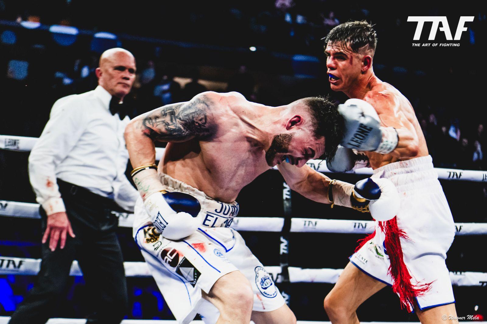 Francis Boxing Team Rho (MI) — Palestra Boxe di Francis Rizzo